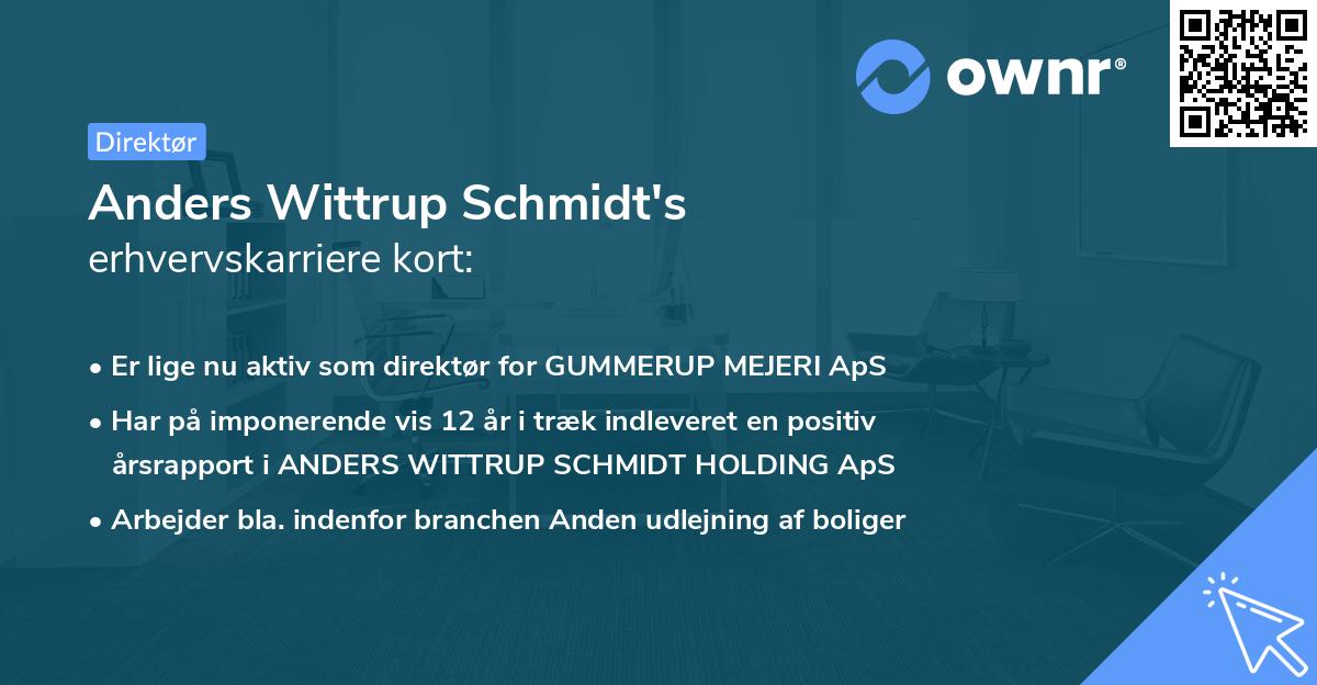 Anders Wittrup Schmidt's erhvervskarriere kort