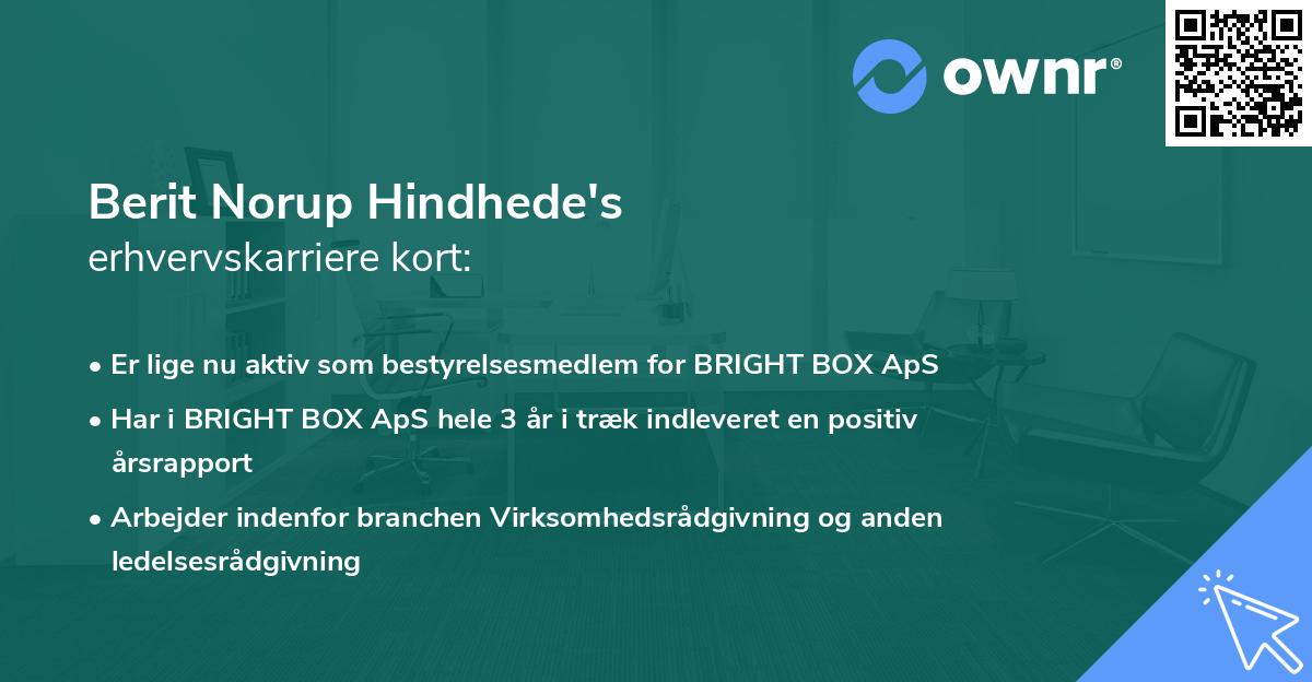 Berit Norup Hindhede's erhvervskarriere kort