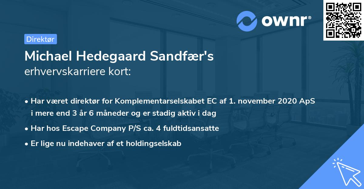 Michael Hedegaard Sandfær's erhvervskarriere kort