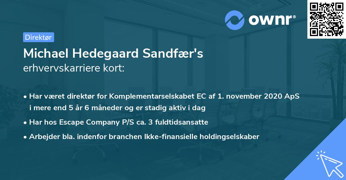 Michael Hedegaard Sandfær's erhvervskarriere kort