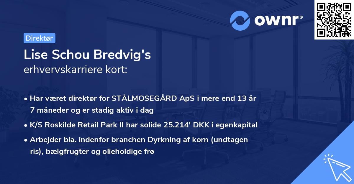 Lise Schou Bredvig's erhvervskarriere kort