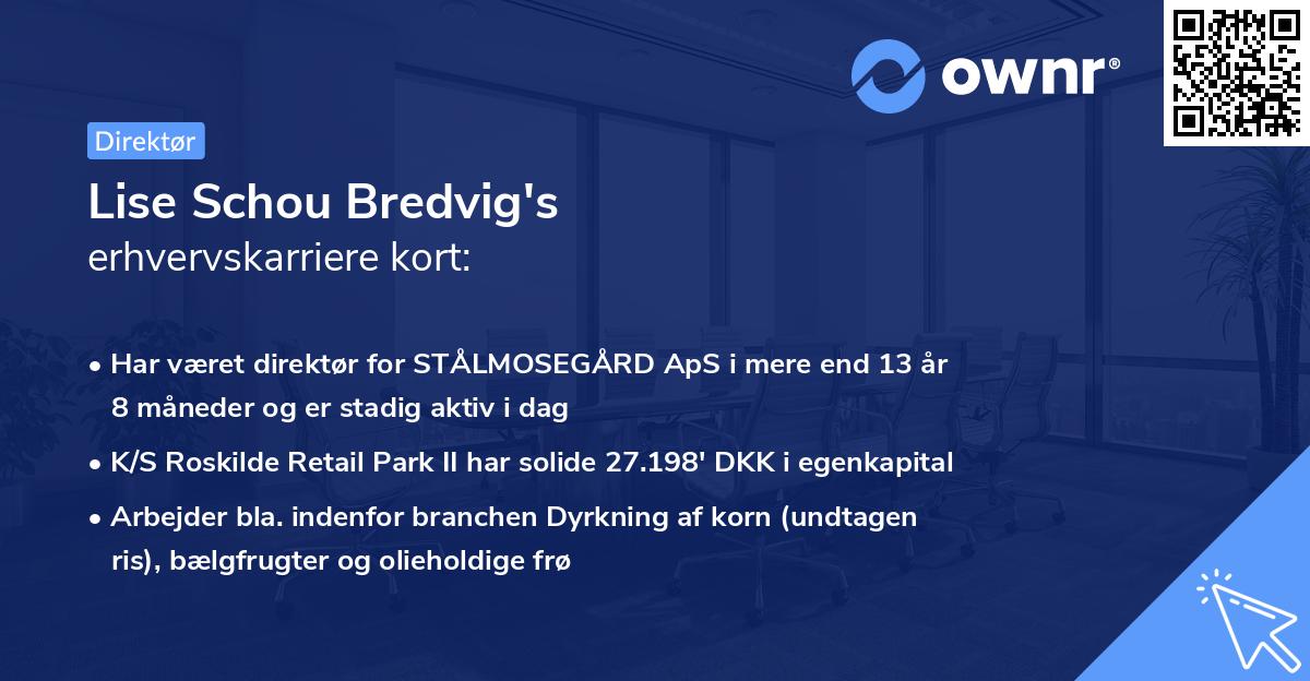 Lise Schou Bredvig's erhvervskarriere kort