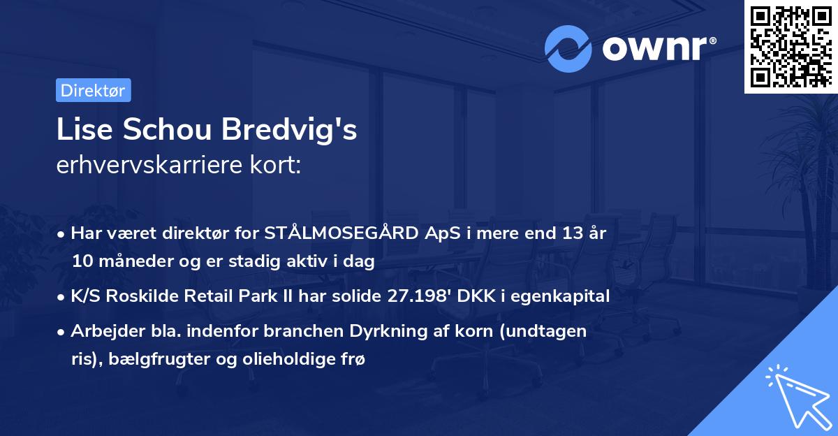Lise Schou Bredvig's erhvervskarriere kort