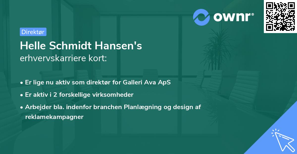 Helle Schmidt Hansen's erhvervskarriere kort