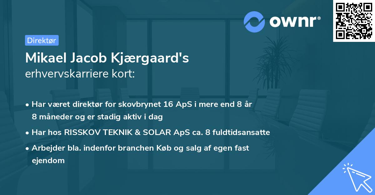 Mikael Jacob Kjærgaard's erhvervskarriere kort