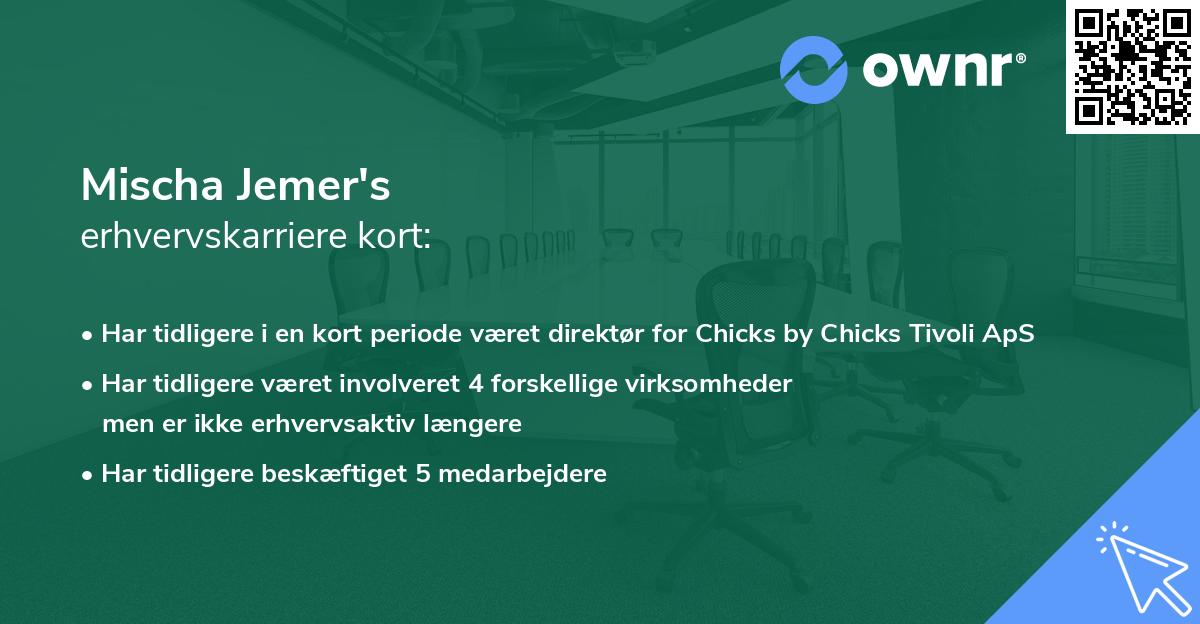 Mischa Jemer's erhvervskarriere kort