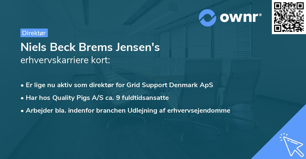 Niels Beck Brems Jensen's erhvervskarriere kort