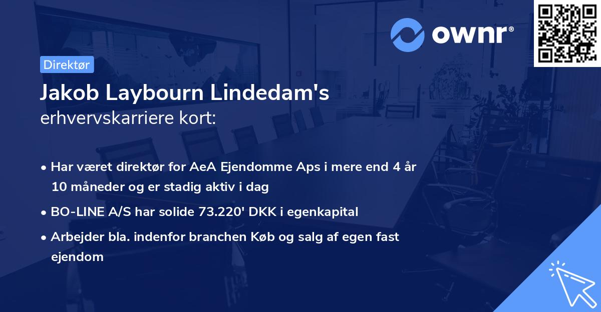 Jakob Laybourn Lindedam's erhvervskarriere kort