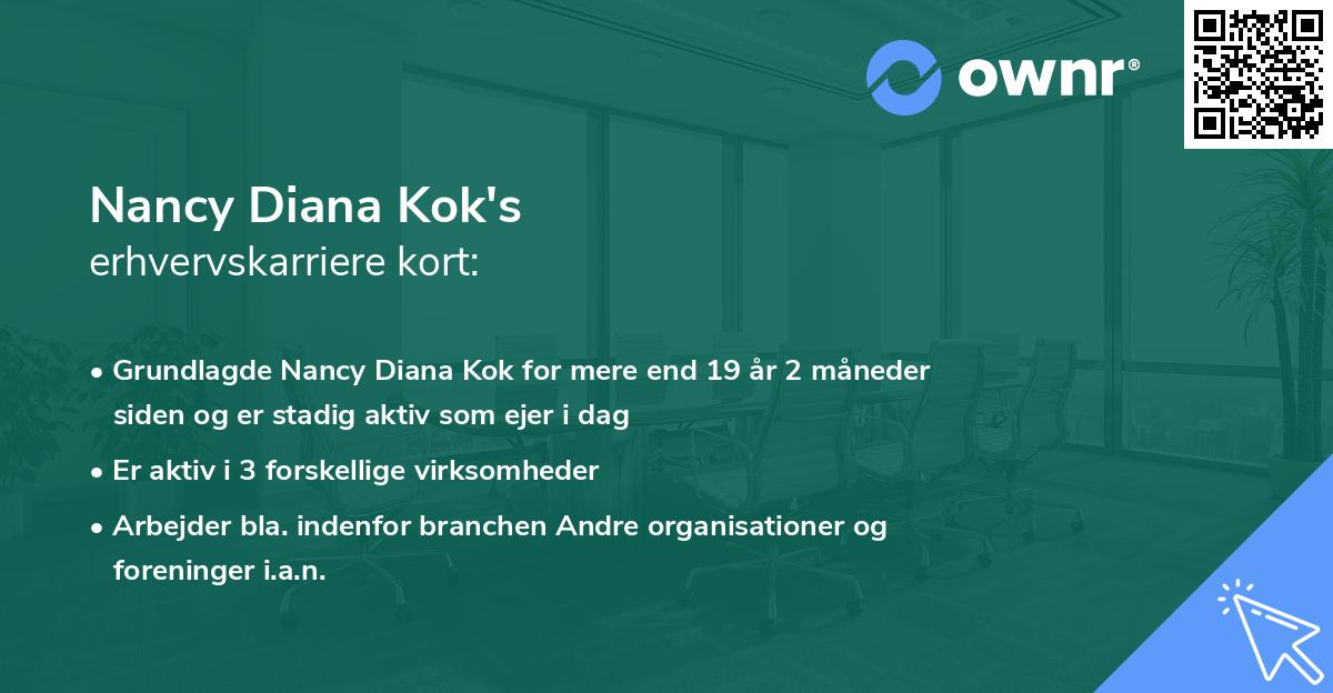 Nancy Diana Kok's erhvervskarriere kort