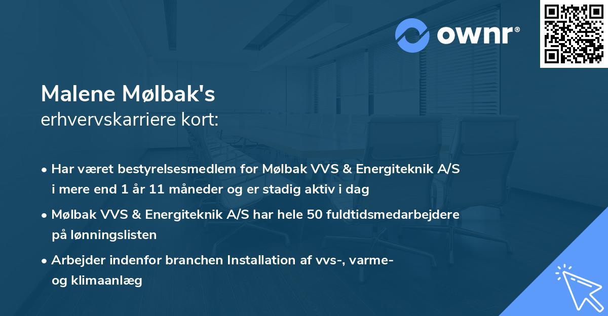 Malene Mølbak's erhvervskarriere kort