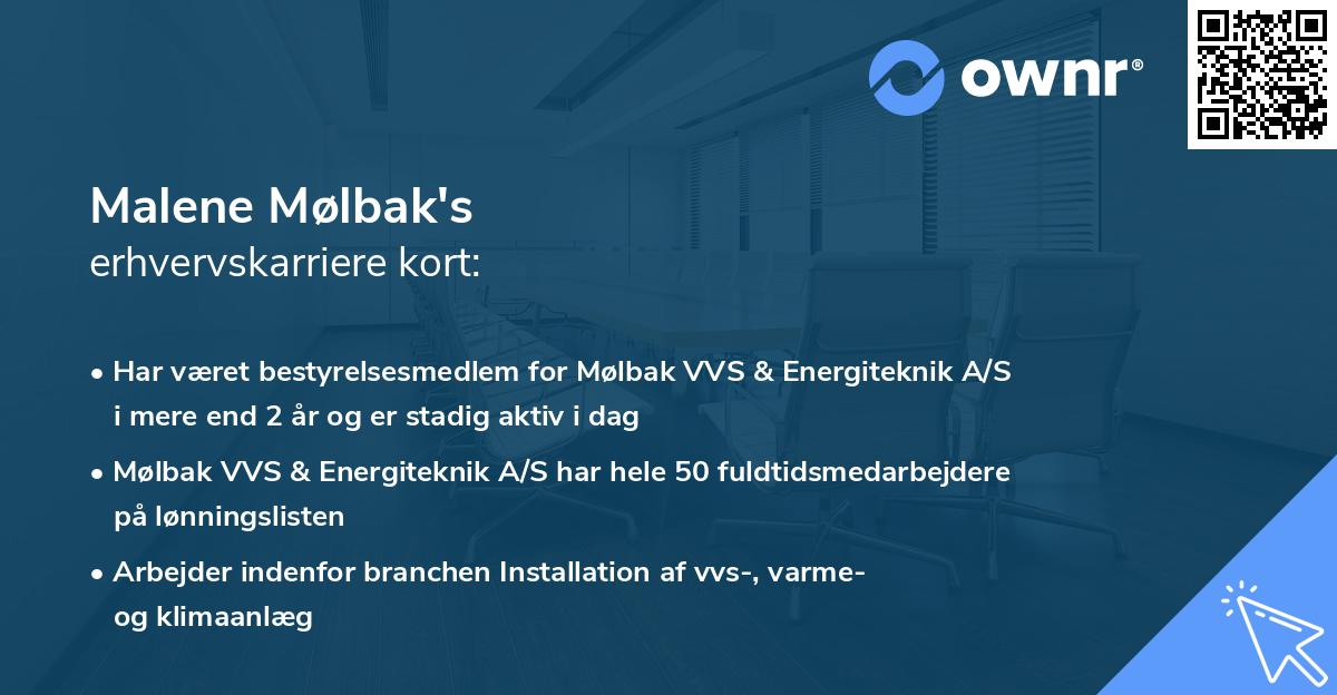 Malene Mølbak's erhvervskarriere kort