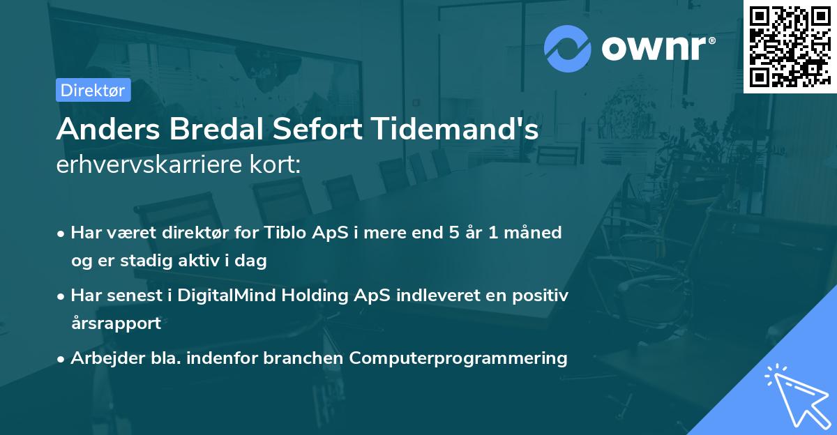 Anders Bredal Sefort Tidemand's erhvervskarriere kort