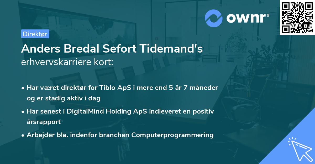Anders Bredal Sefort Tidemand's erhvervskarriere kort