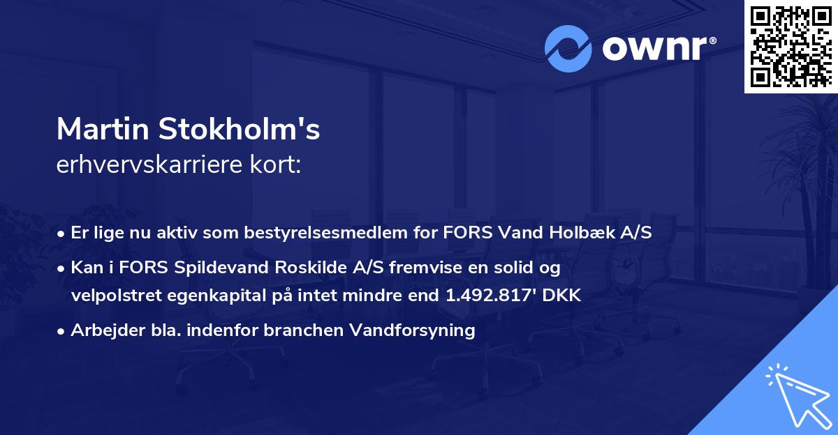 Martin Stokholm's erhvervskarriere kort