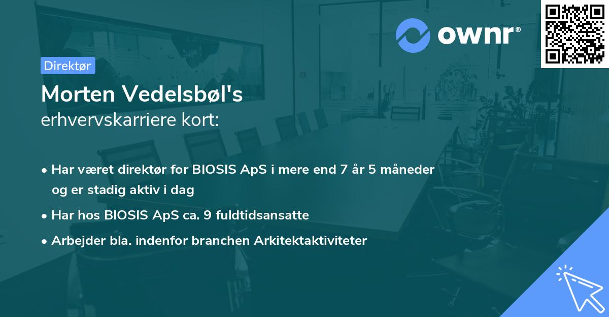 Morten Vedelsbøl's erhvervskarriere kort