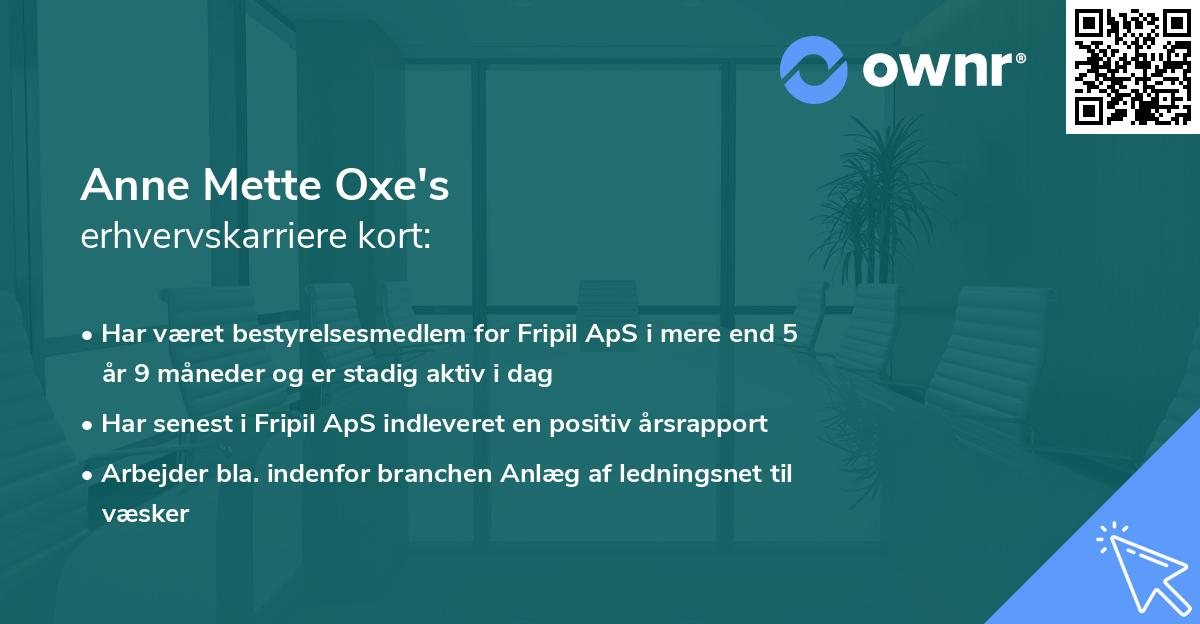 Anne Mette Oxe's erhvervskarriere kort