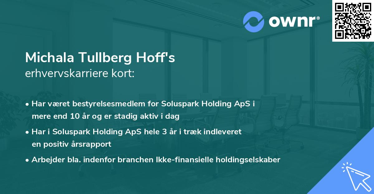 Michala Tullberg Hoff's erhvervskarriere kort