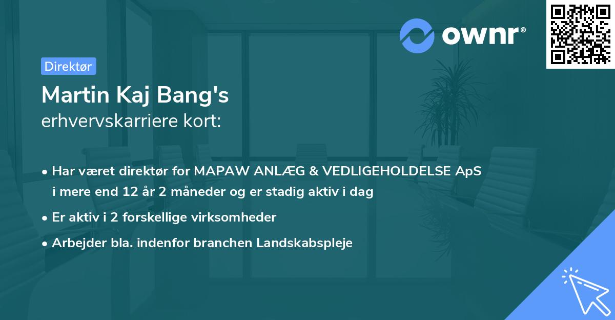 Martin Kaj Bang's erhvervskarriere kort