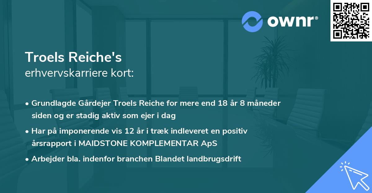 Troels Reiche's erhvervskarriere kort