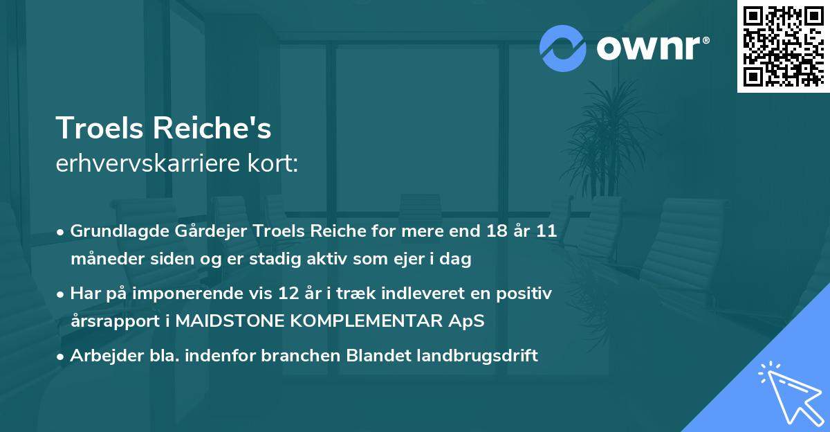 Troels Reiche's erhvervskarriere kort