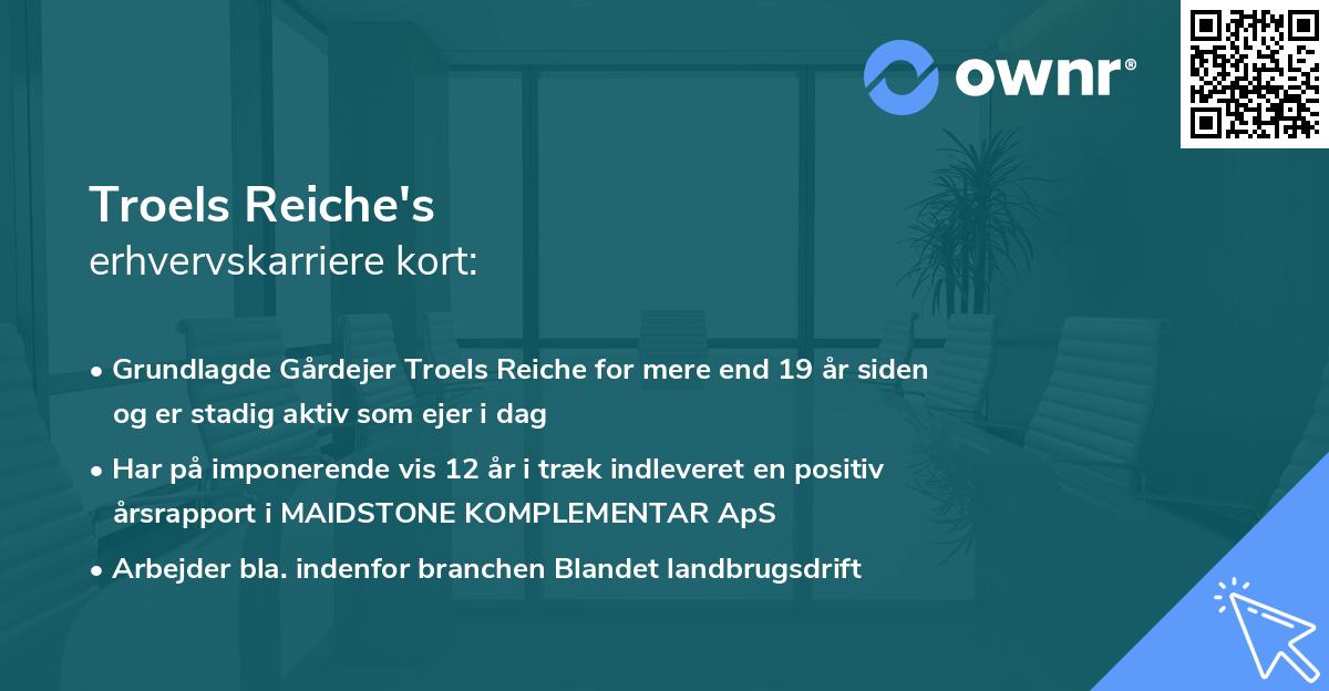 Troels Reiche's erhvervskarriere kort