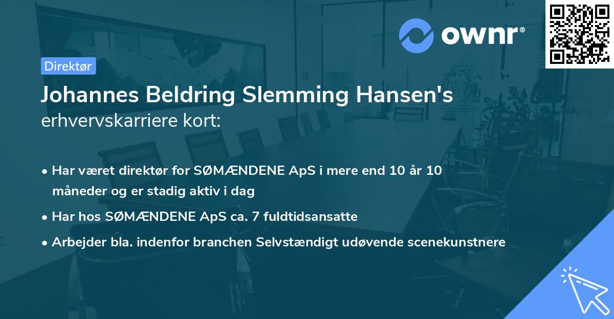 Johannes Beldring Slemming Hansen's erhvervskarriere kort