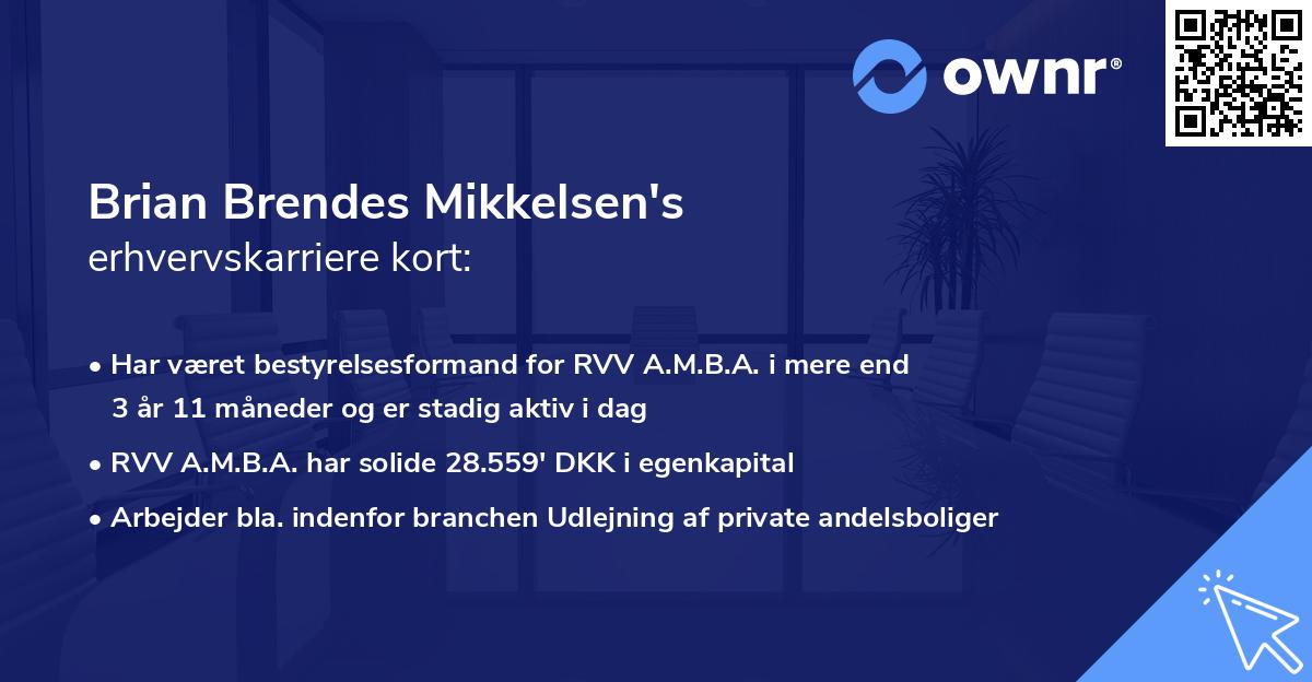 Brian Brendes Mikkelsen's erhvervskarriere kort