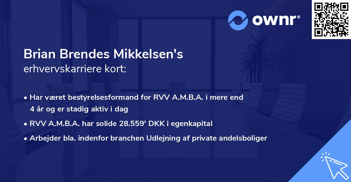 Brian Brendes Mikkelsen's erhvervskarriere kort