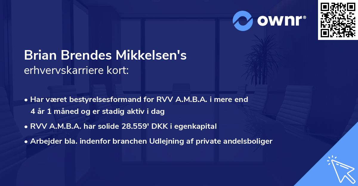 Brian Brendes Mikkelsen's erhvervskarriere kort