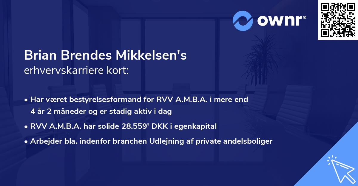 Brian Brendes Mikkelsen's erhvervskarriere kort