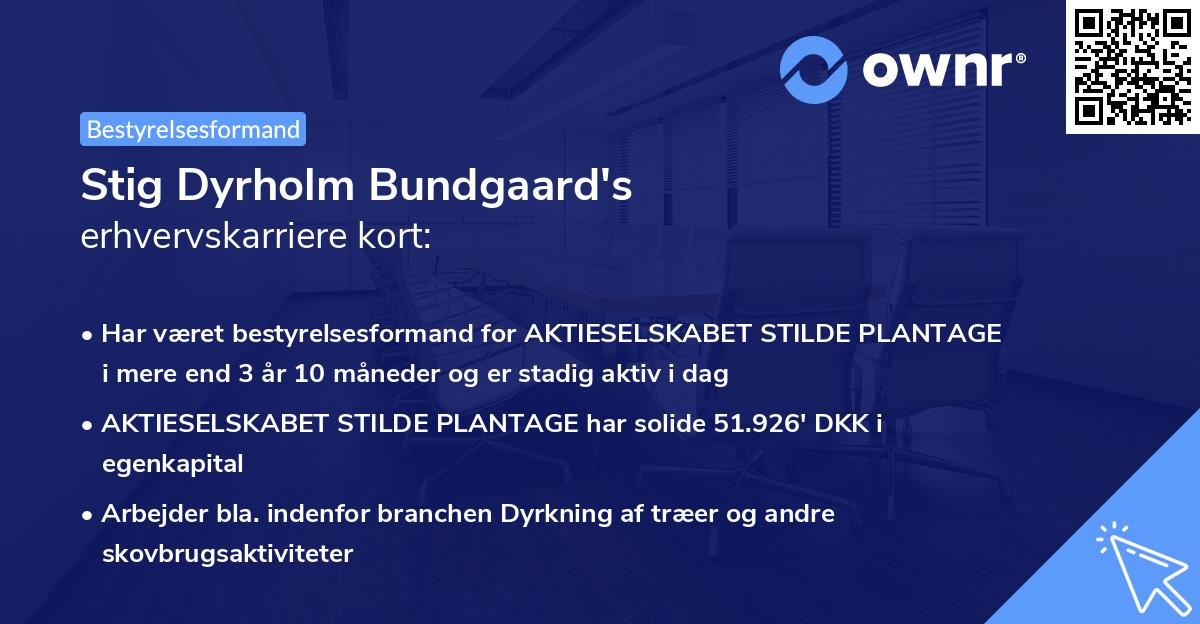 Stig Dyrholm Bundgaard's erhvervskarriere kort