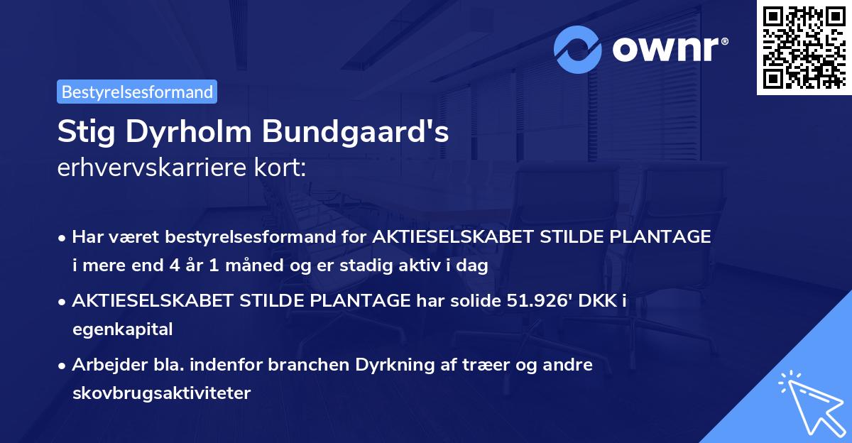 Stig Dyrholm Bundgaard's erhvervskarriere kort