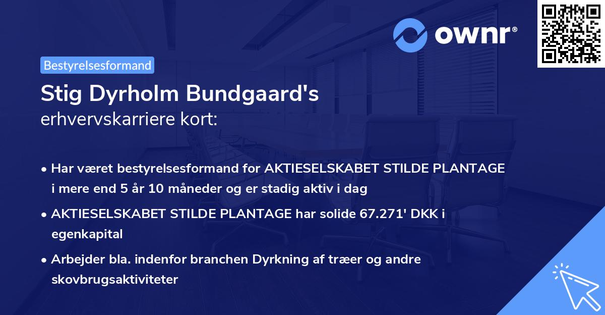 Stig Dyrholm Bundgaard's erhvervskarriere kort