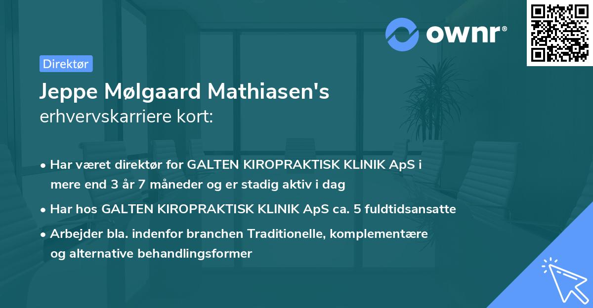 Jeppe Mølgaard Mathiasen's erhvervskarriere kort