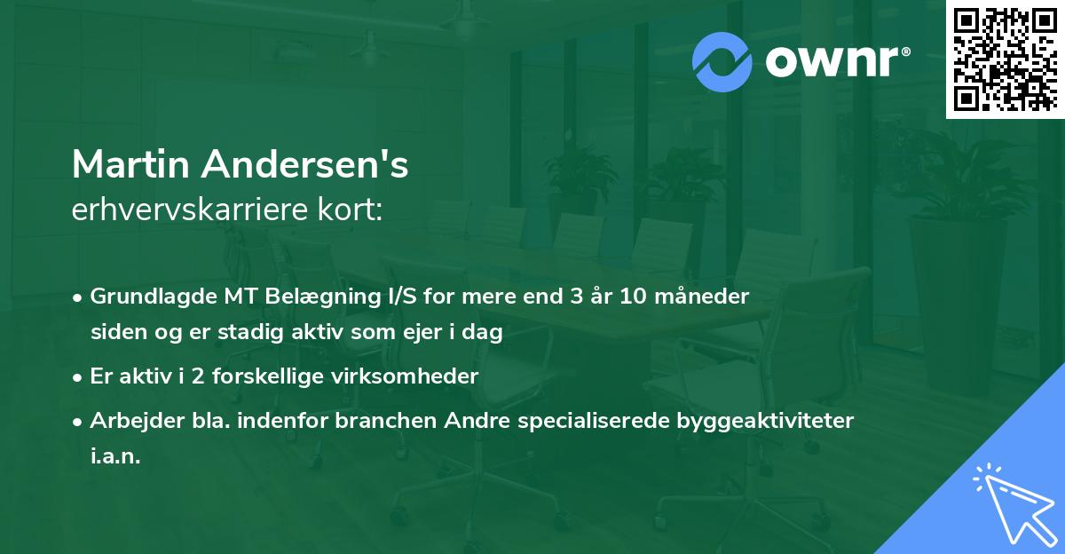 Martin Andersen's erhvervskarriere kort
