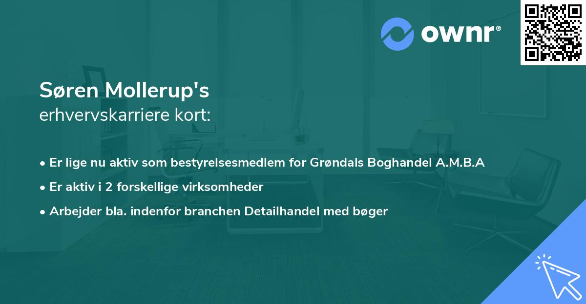 Søren Mollerup's erhvervskarriere kort