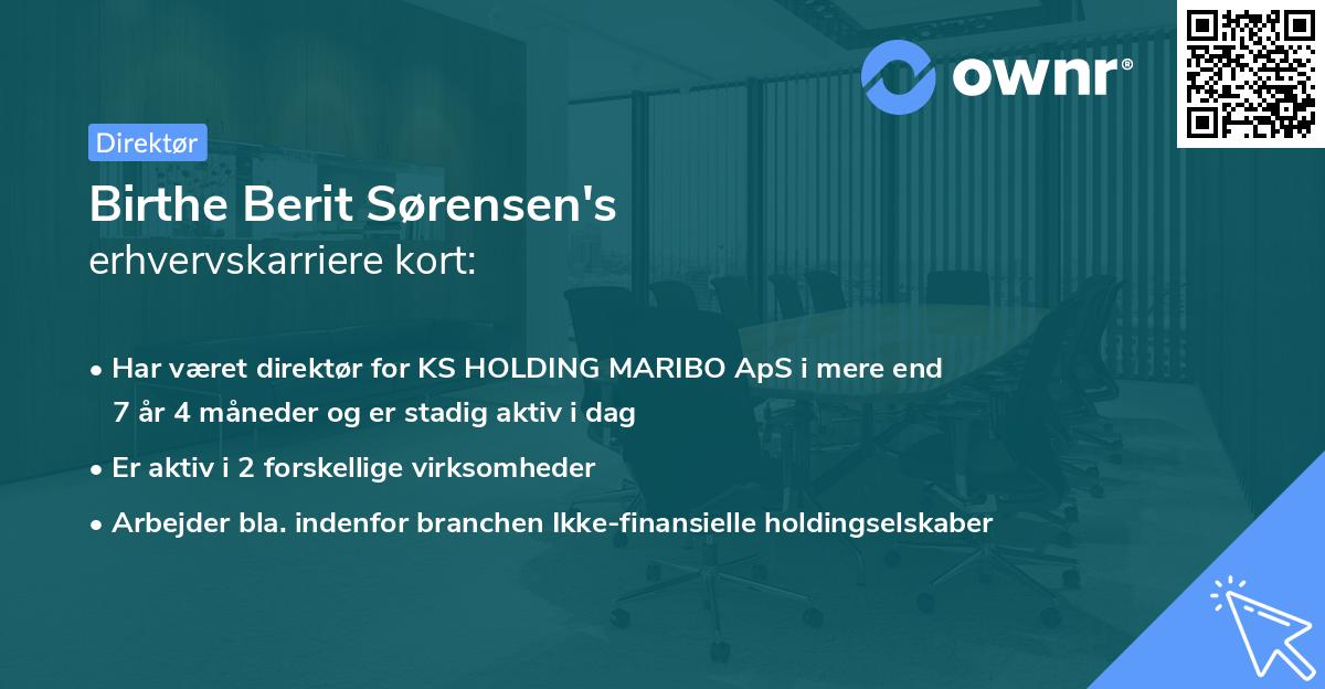 Birthe Berit Sørensen's erhvervskarriere kort