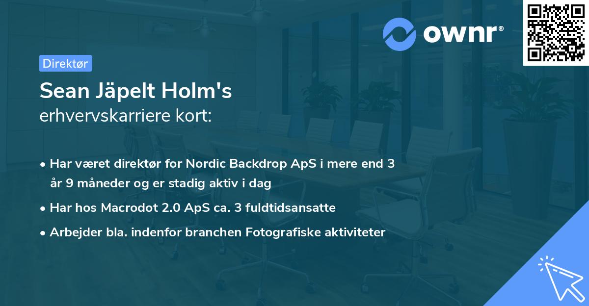 Sean Jäpelt Holm's erhvervskarriere kort