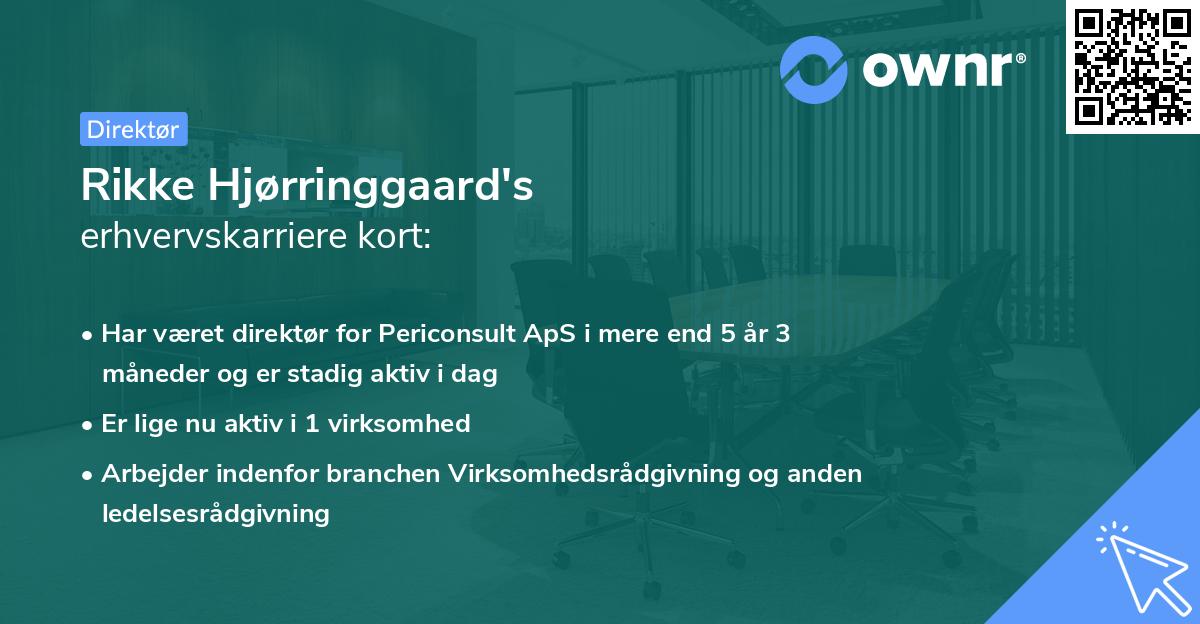 Rikke Hjørringgaard's erhvervskarriere kort