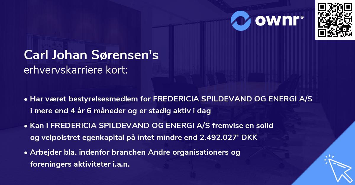 Carl Johan Sørensen's erhvervskarriere kort