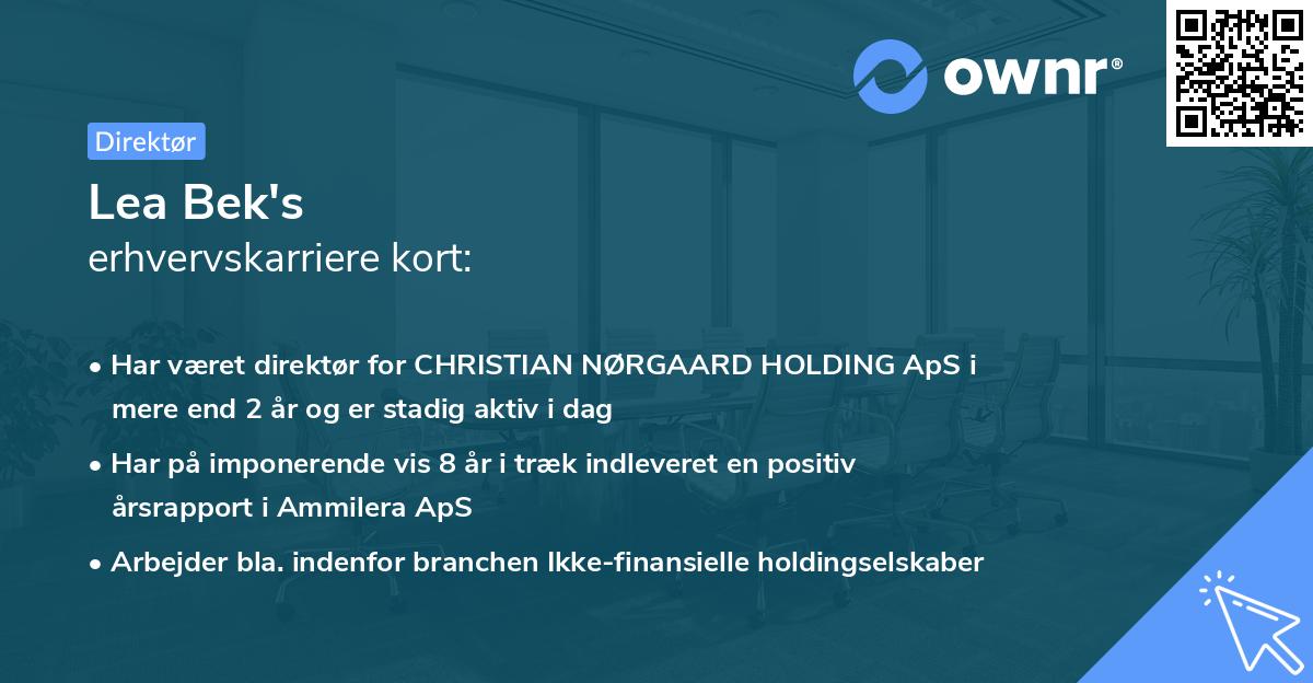 Lea Bek's erhvervskarriere kort