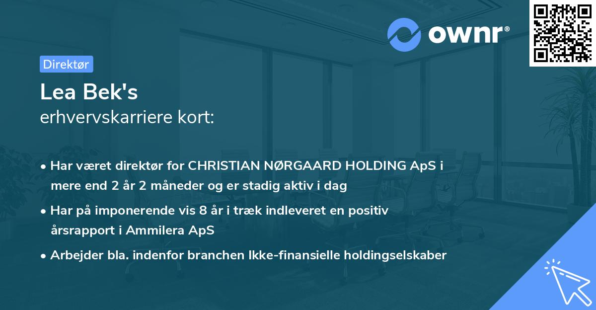 Lea Bek's erhvervskarriere kort