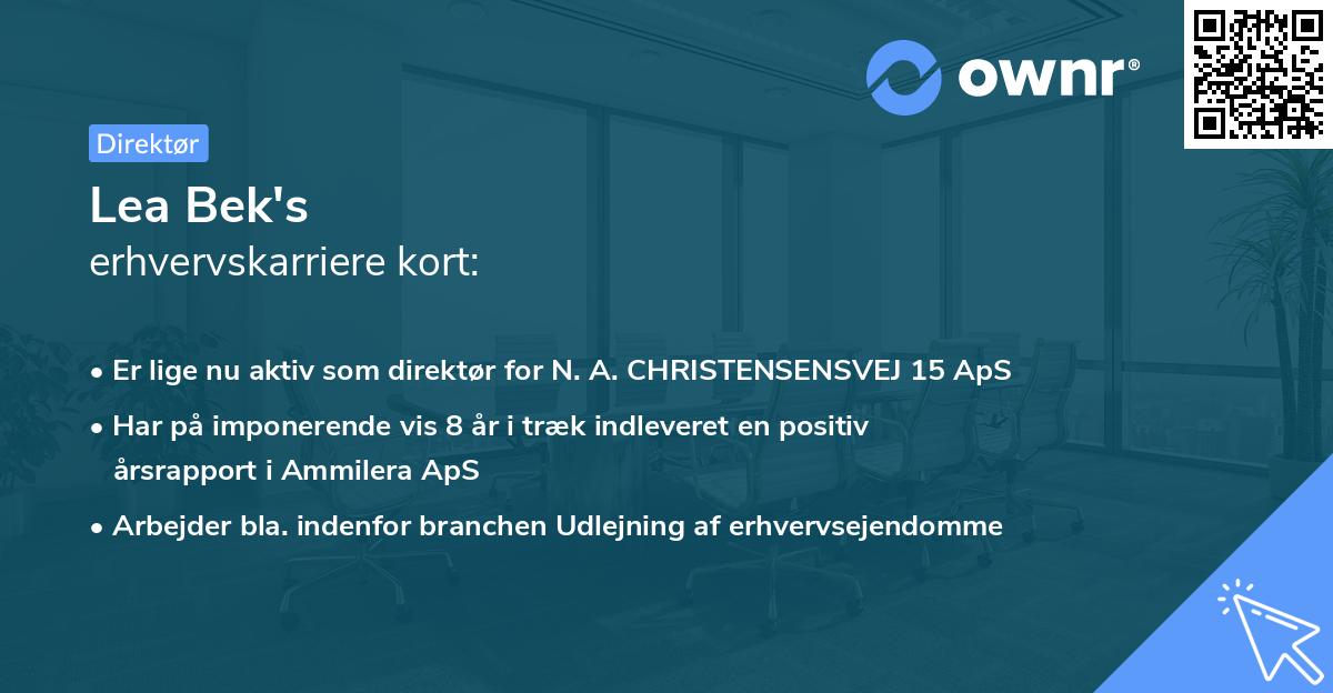 Lea Bek's erhvervskarriere kort