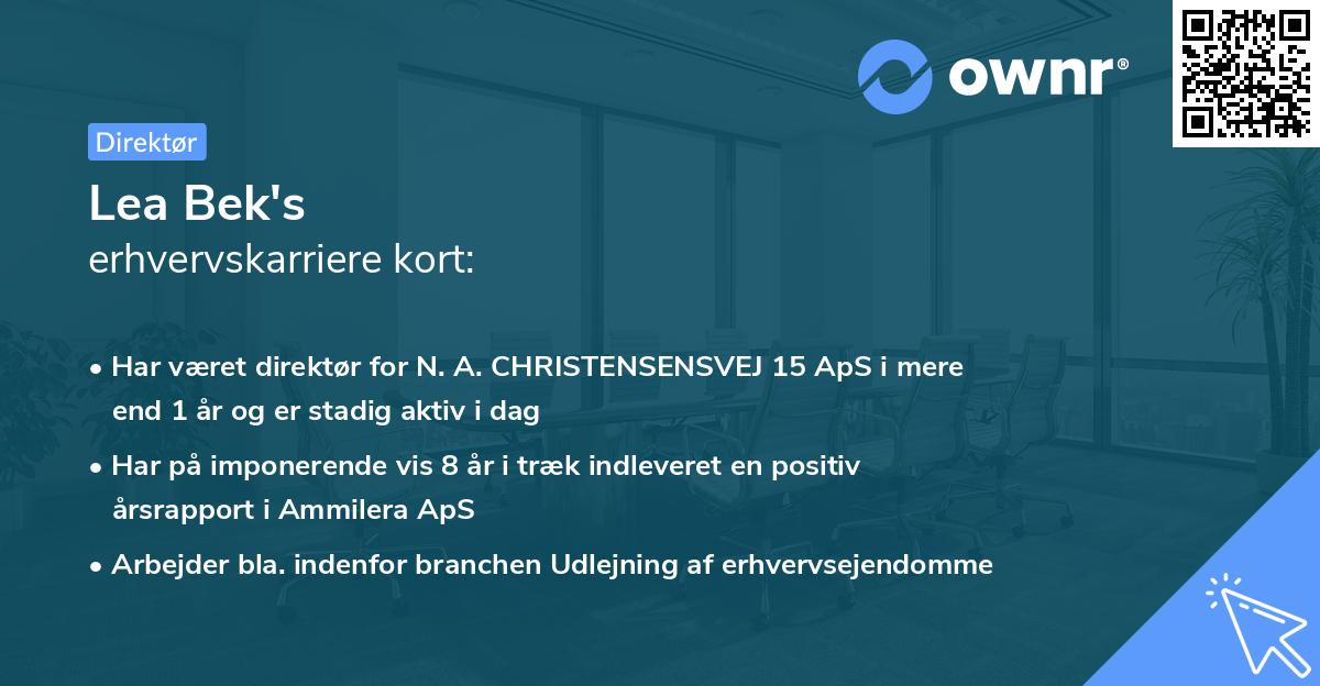 Lea Bek's erhvervskarriere kort