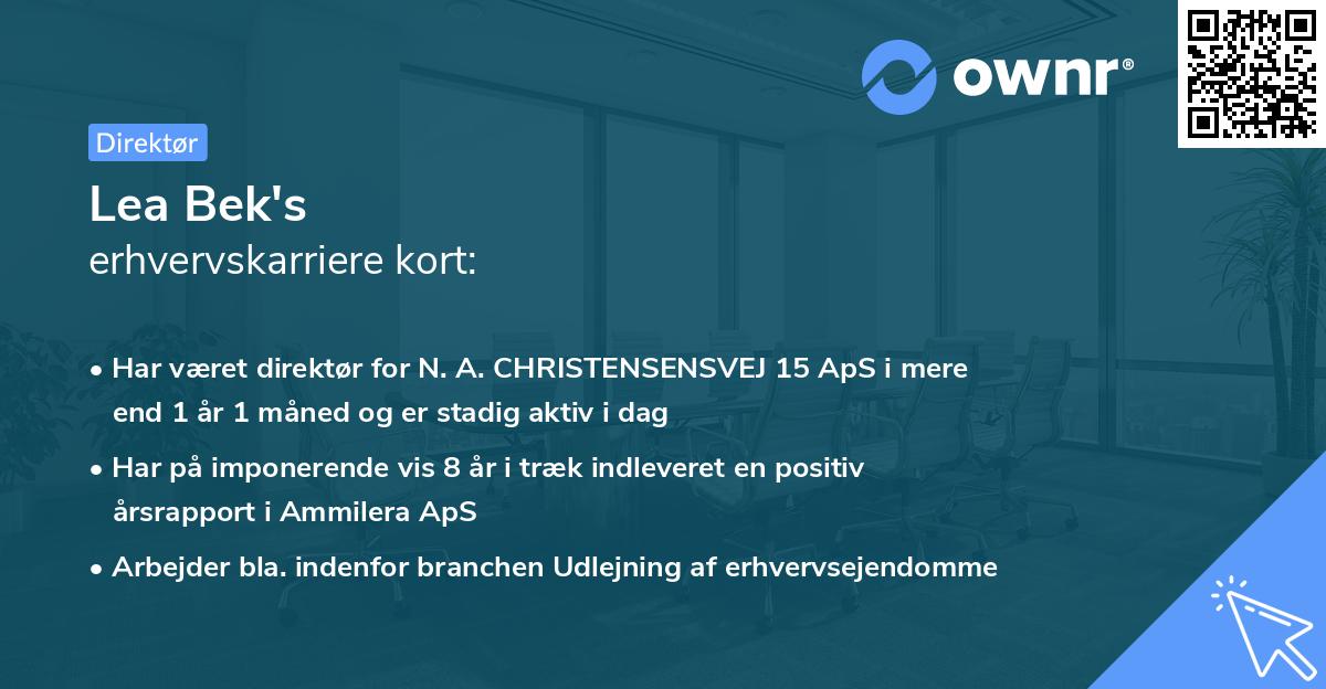 Lea Bek's erhvervskarriere kort