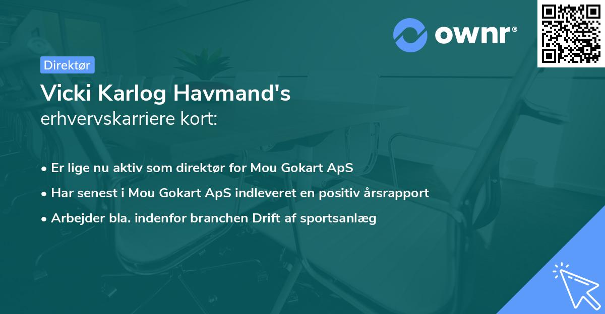 Vicki Karlog Havmand's erhvervskarriere kort