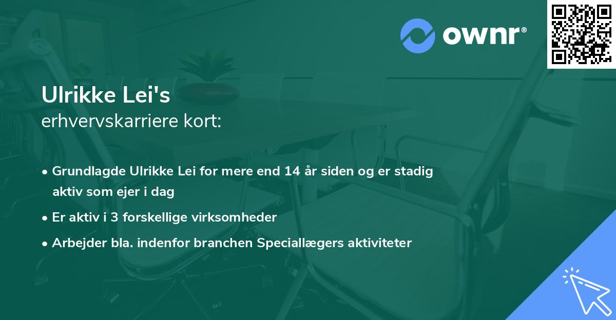 Ulrikke Lei's erhvervskarriere kort