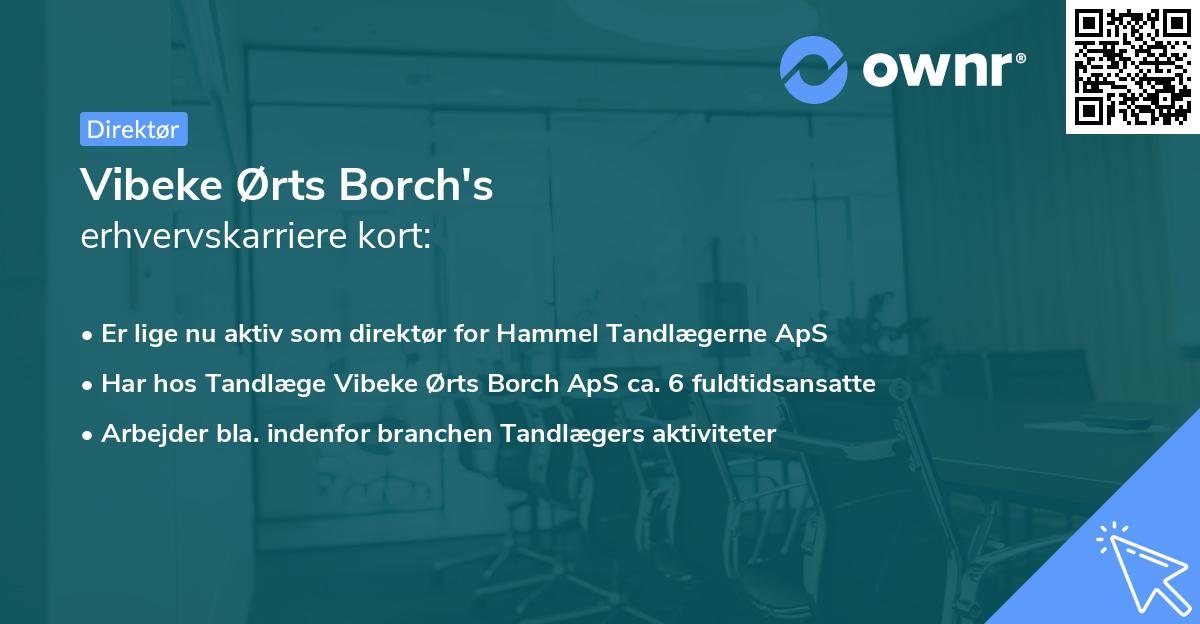 Vibeke Ørts Borch's erhvervskarriere kort