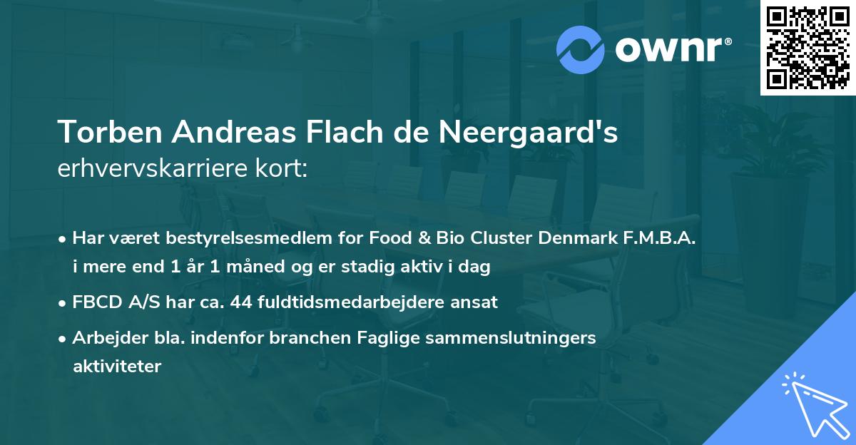Torben Andreas Flach de Neergaard's erhvervskarriere kort