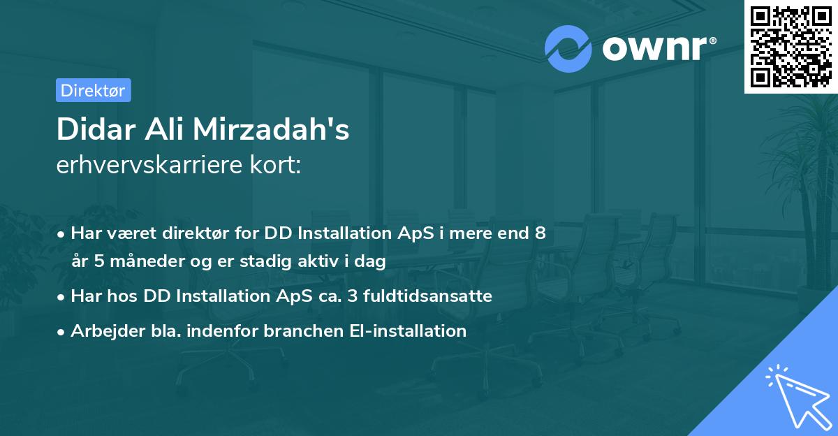Didar Ali Mirzadah's erhvervskarriere kort